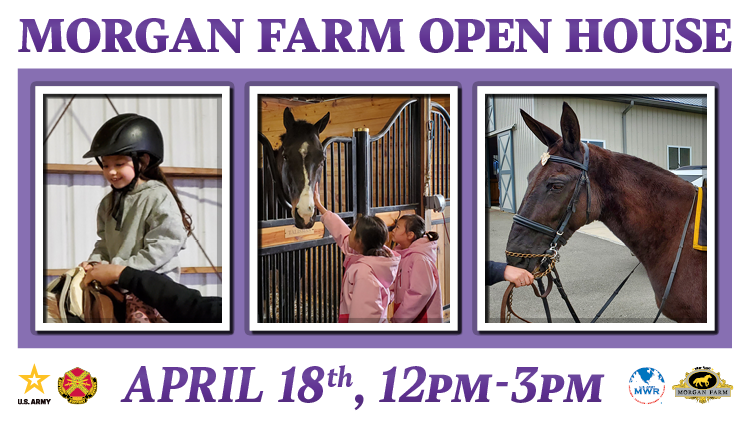 Morgan Farm Open House 1
