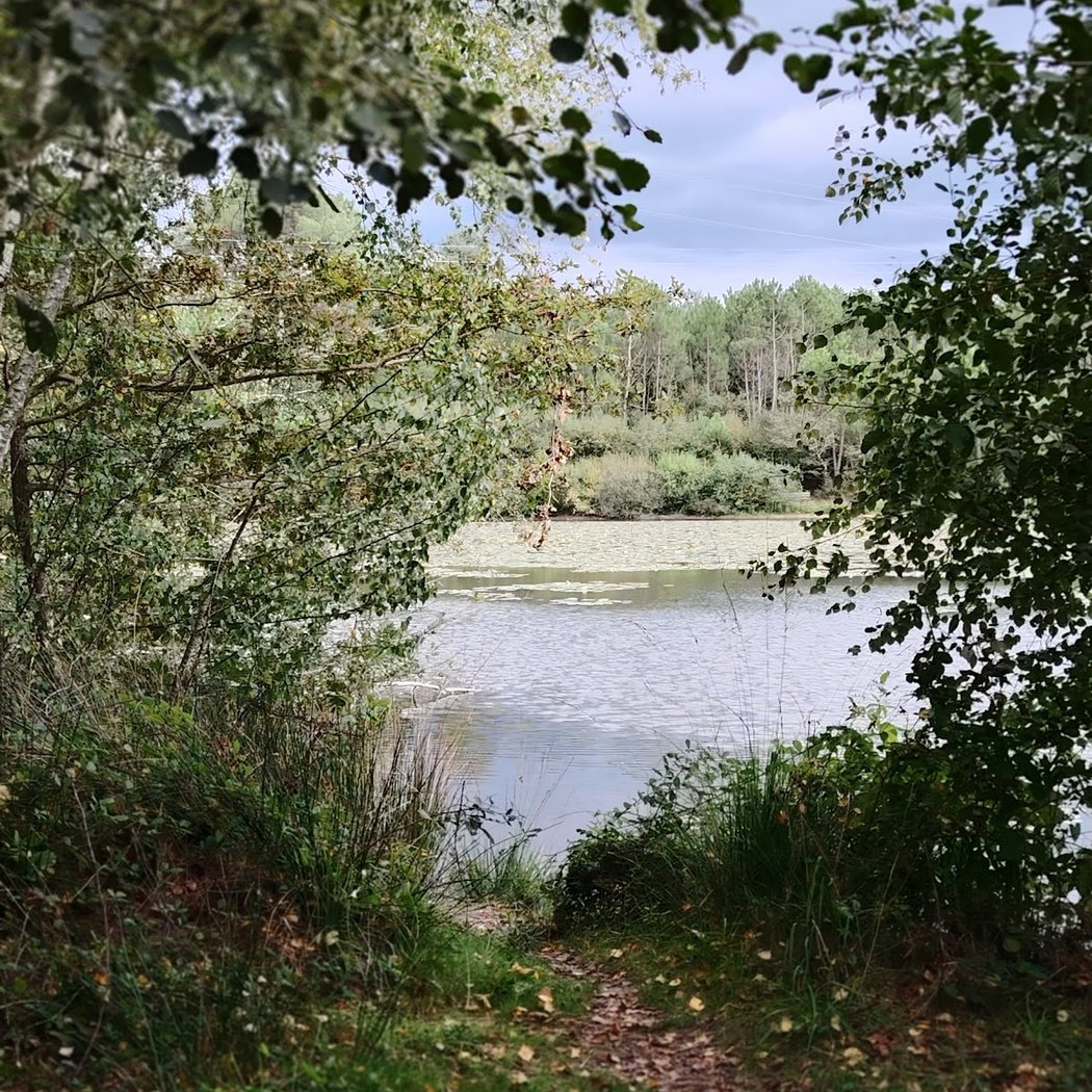 Balade contée 1