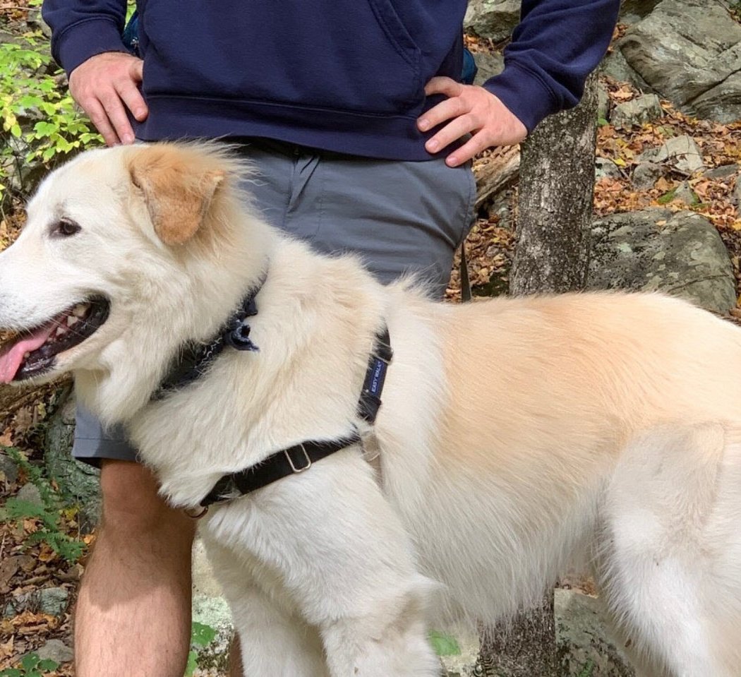 Tails and Trails at Bennett’s Pond 1