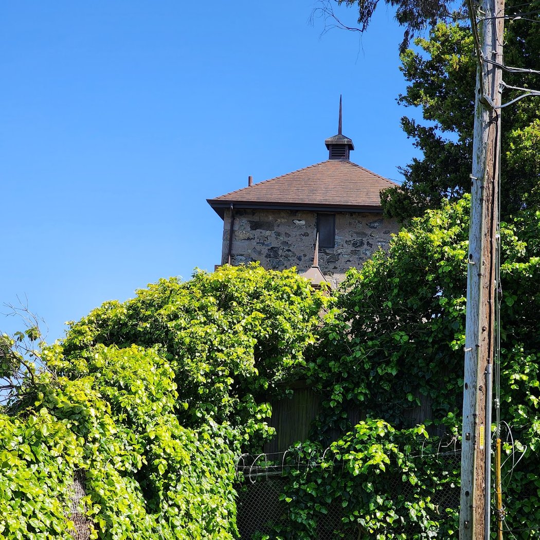 Albion Castle 3