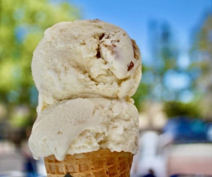 Angela's Organic Ice Cream 1