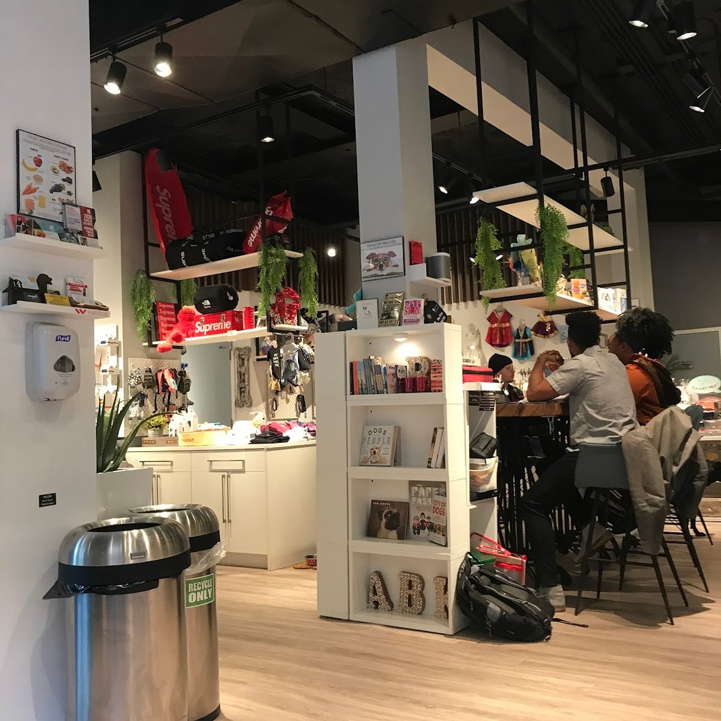 Cafe Bark 2
