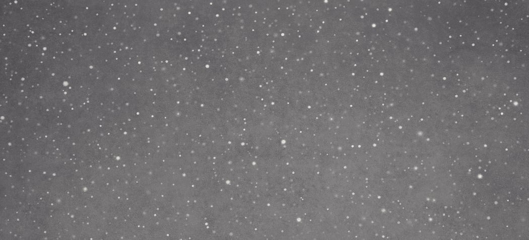 Exposition Vija Celmins 1