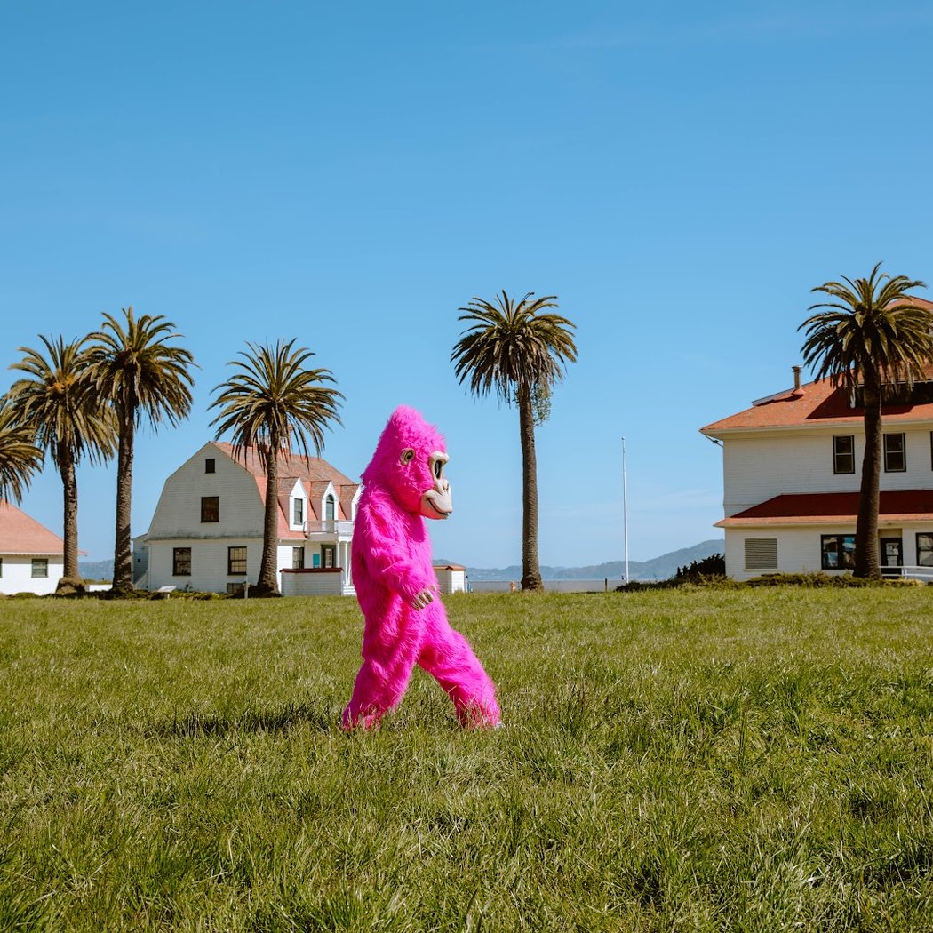 Bay to Breakers 3