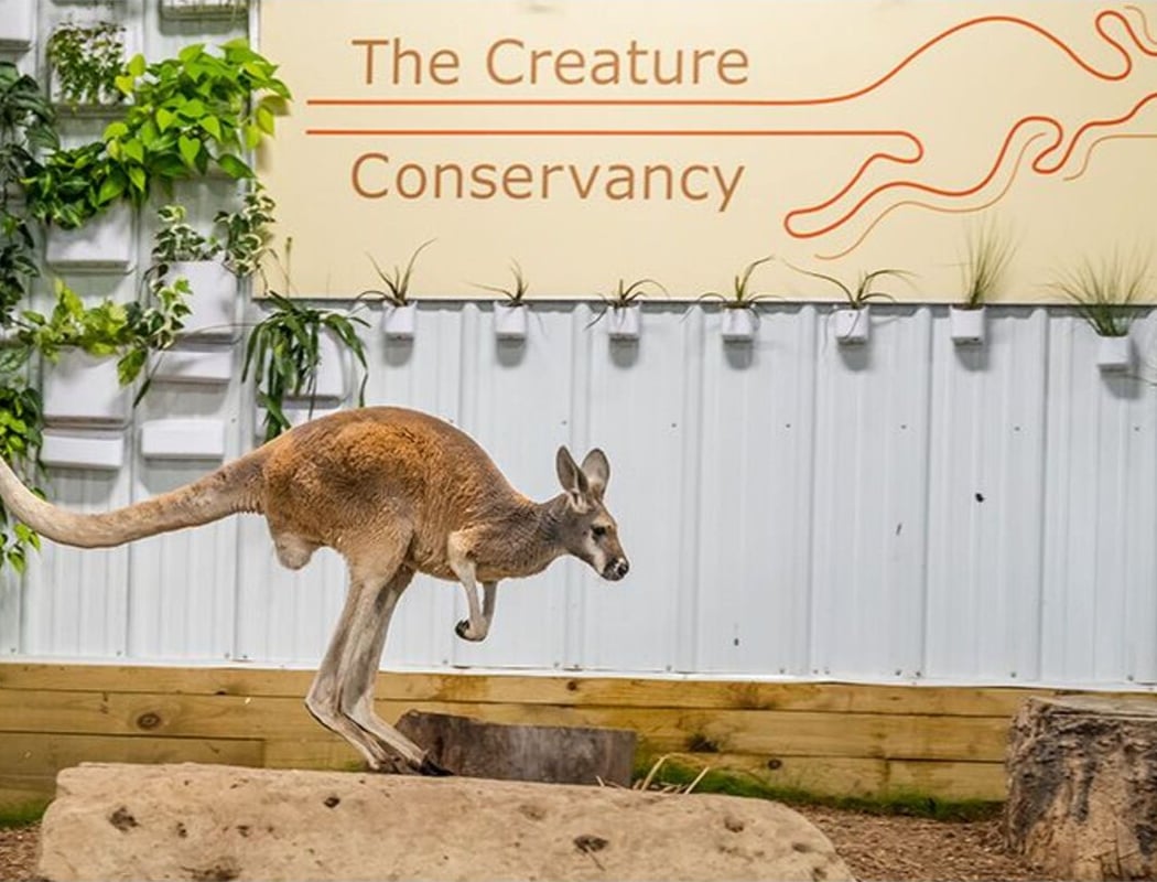 An Evening with the Creature Conservancy 1