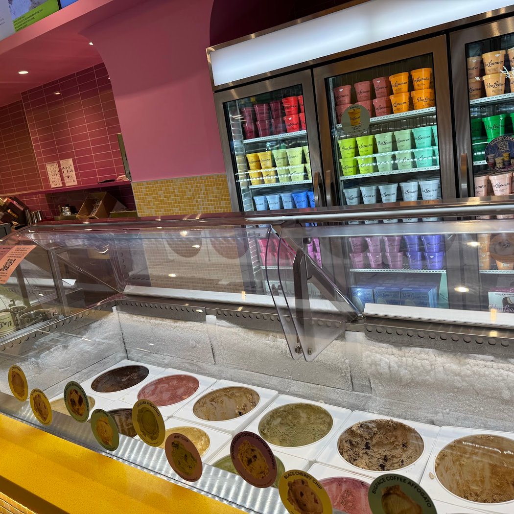 Van Leeuwen Ice Cream 2
