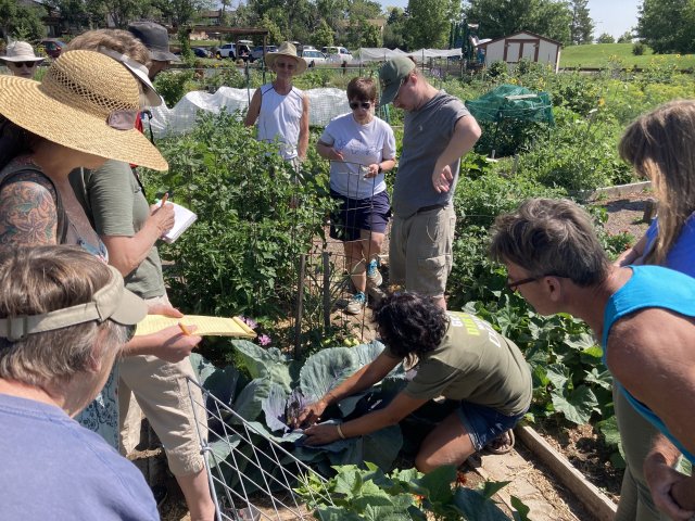 Workday at Sunshine Community Garden 2