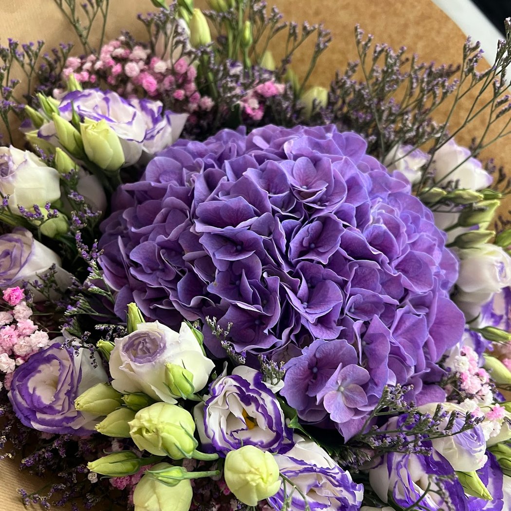 Les Fleurs des 4 Saisons 1