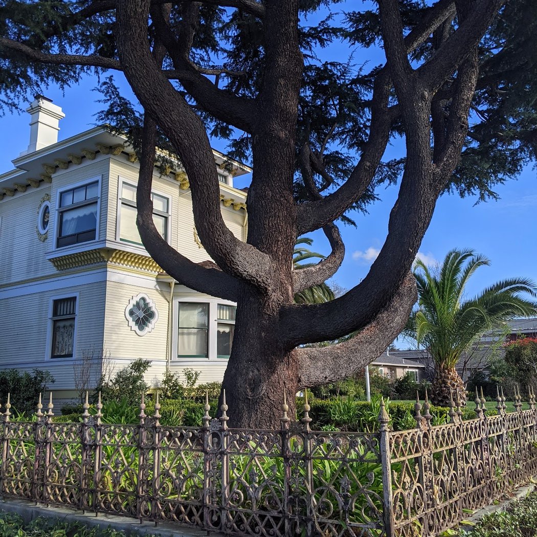 Charles Copeland Morse Residence 2