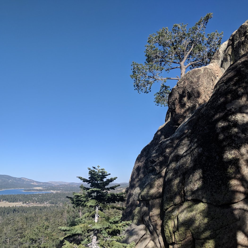 Hike with Dad 1