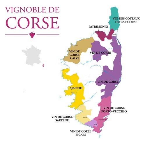 VINS CORSES et leurs cépages autochtones 1