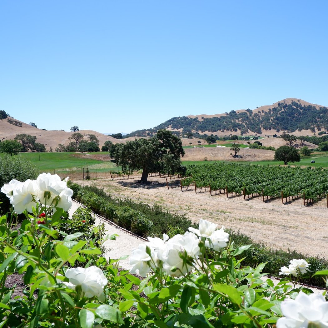 Clos LaChance Winery 3