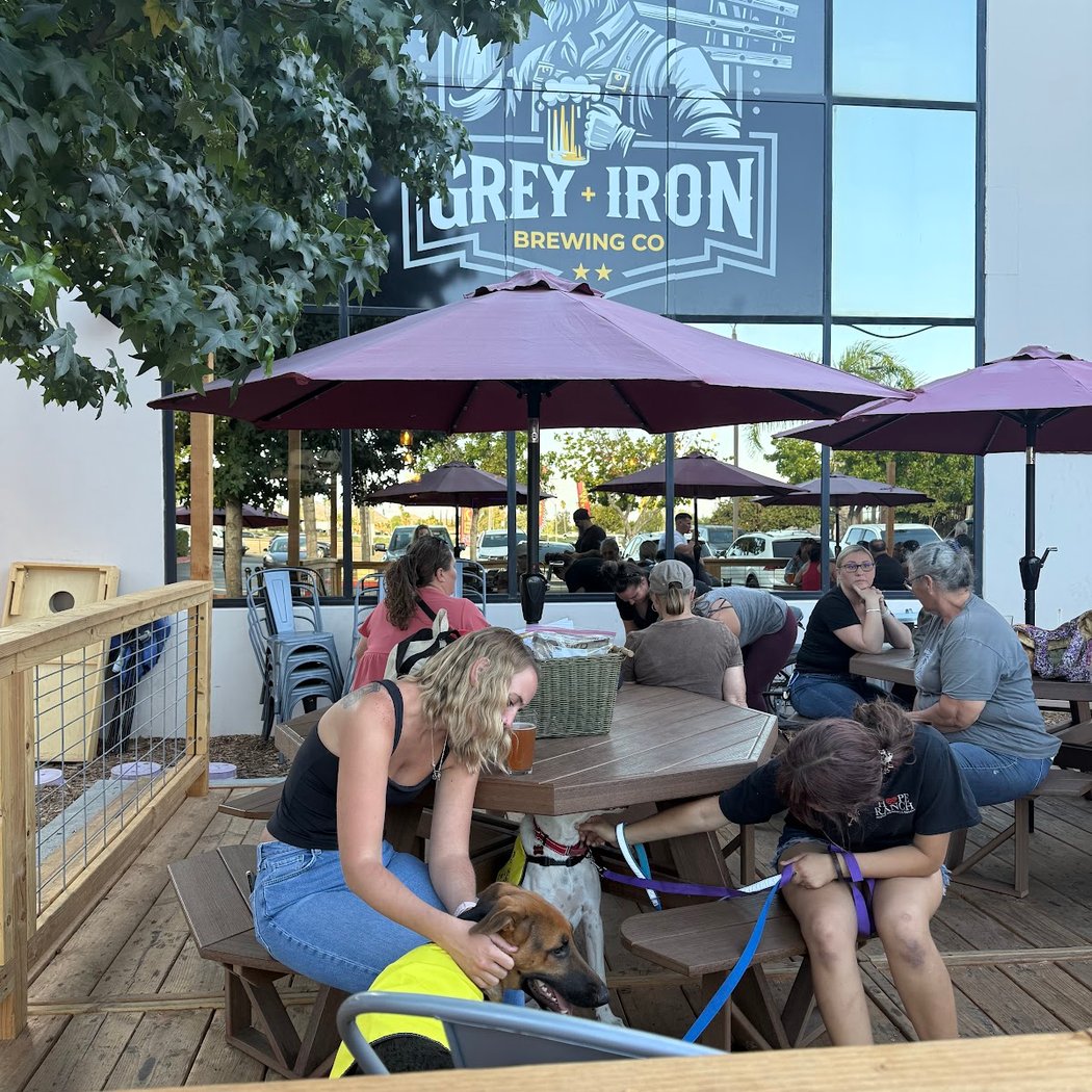Grey Iron Brewing Company 2