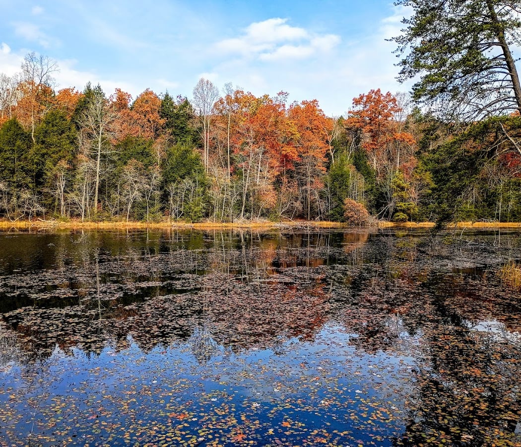 Bays Mountain Park & Planetarium 2