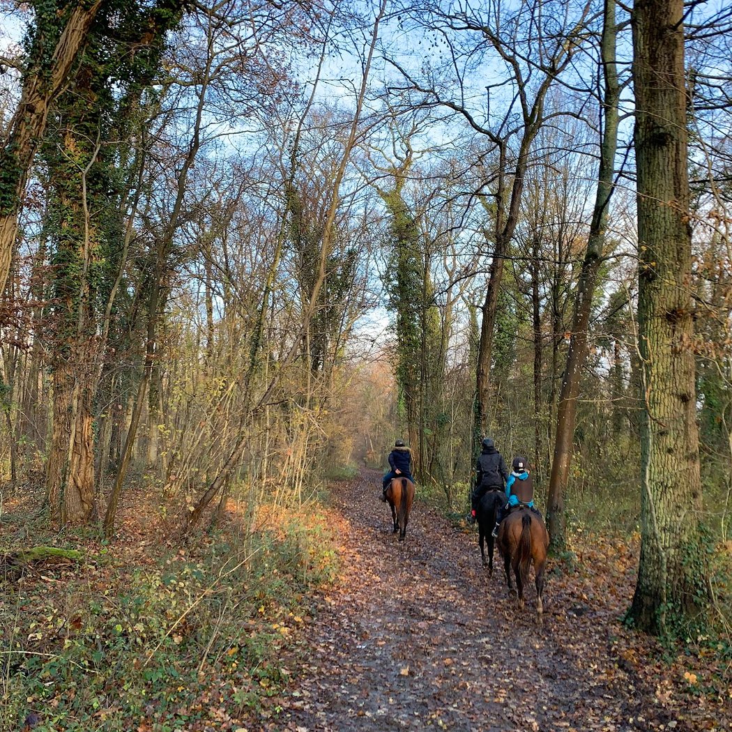 Balades À Cheval À Chantilly 4