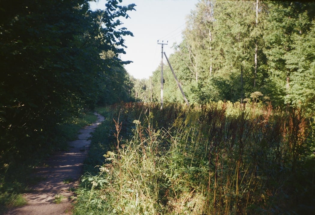 Sunnyside Trailhead 4