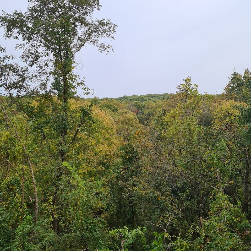 Migratory Bird Hike 3