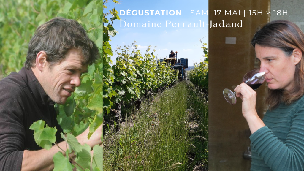 DÉGUSTATION | Domaine Perrault-Jadaud