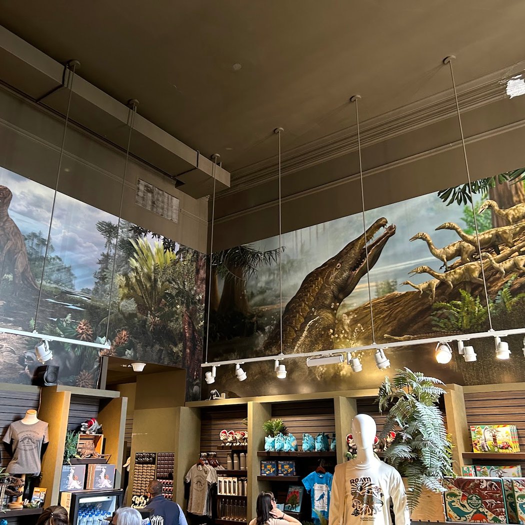Dino Store 3
