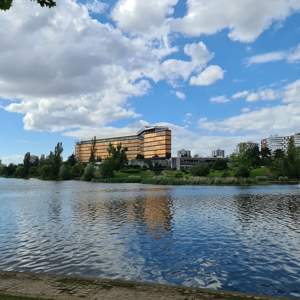 Balade ornithologique autour du lac de Créteil 2