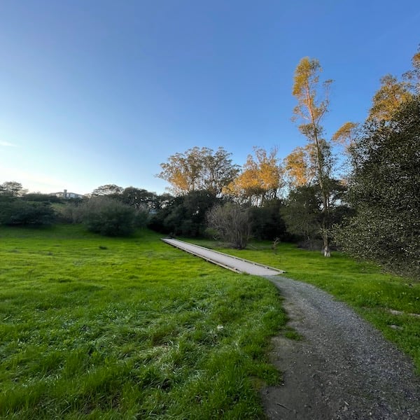 Mannion Knoll Park and Open Space 3