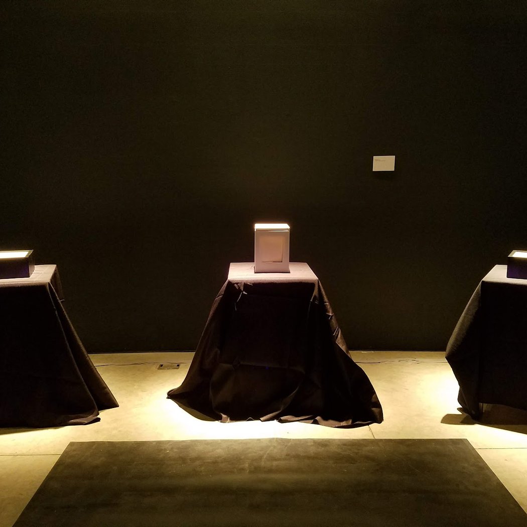 Christa Sommerer & Laurent Mignonneau - Beall Center for Art + Technology 1