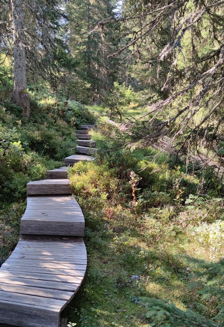 Sentier flore et milieux naturels 1
