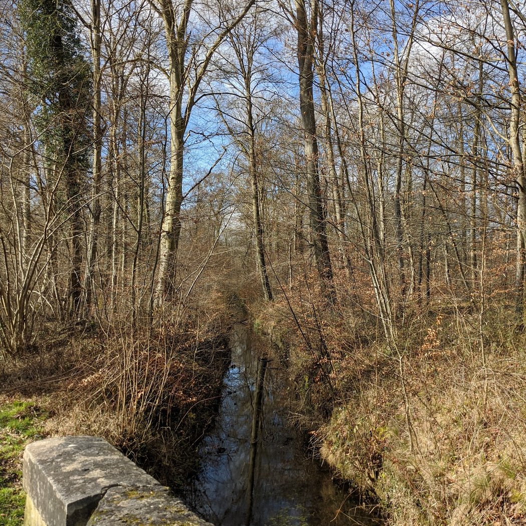 Sentier de la rainette 2