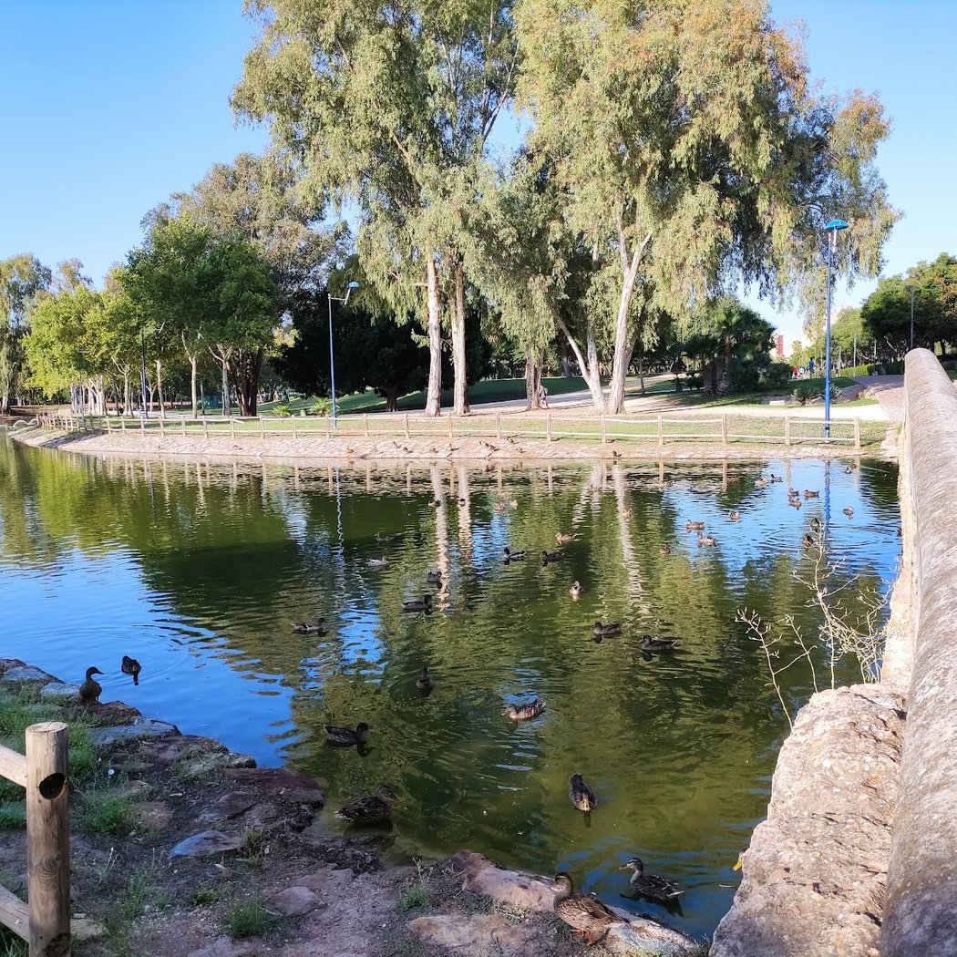 Parque Miraflores 3