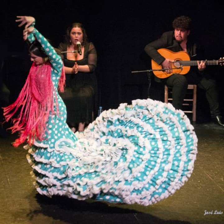 Espectáculo de flamenco 1