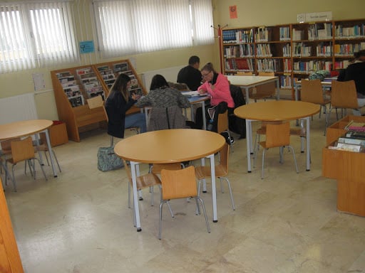 Biblioteca Publica Municipal El Esqueleto 2