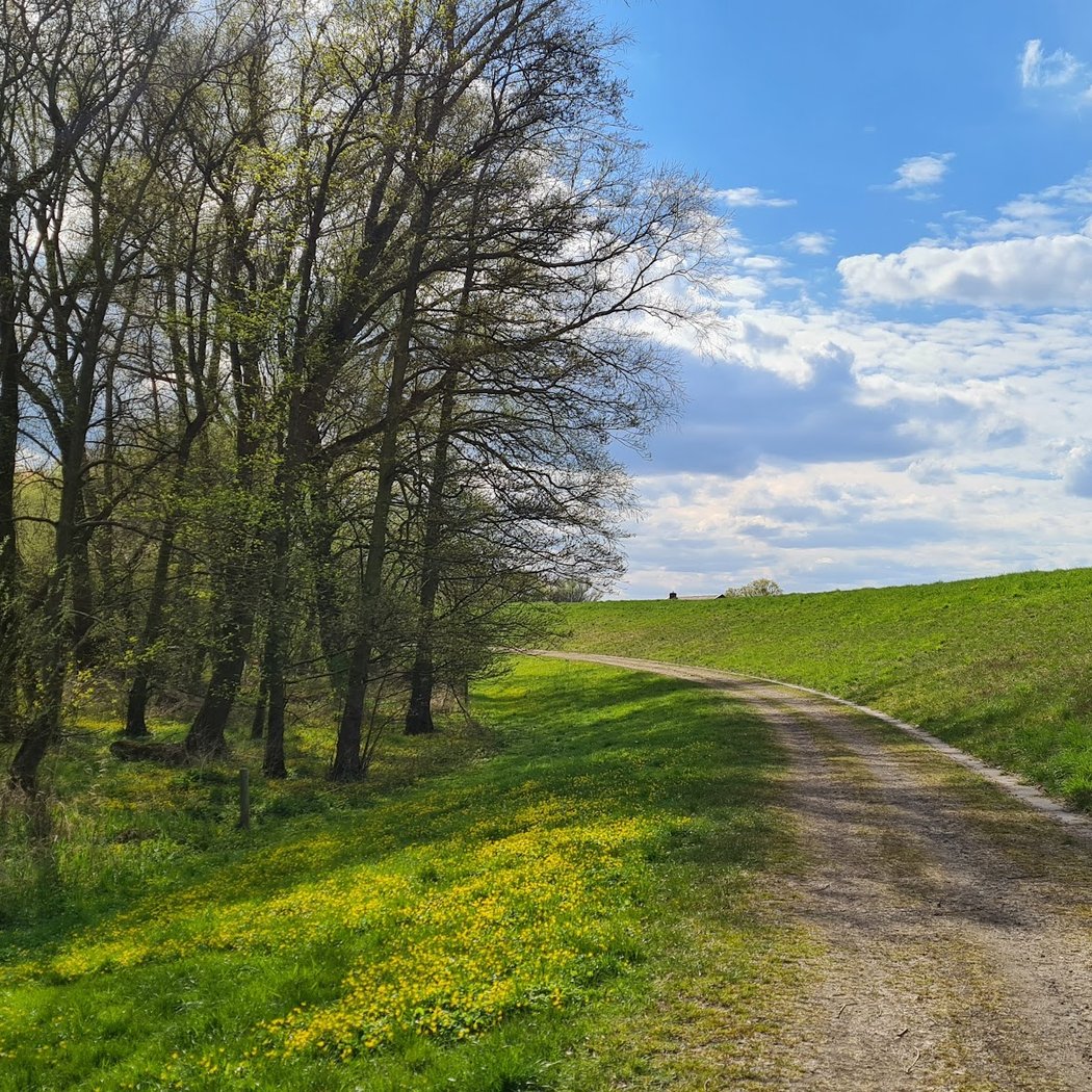 Wildes Wilhelmsburg 3