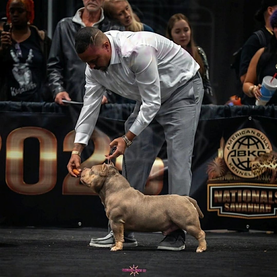 Better the Breed Festival & Dog Show 3