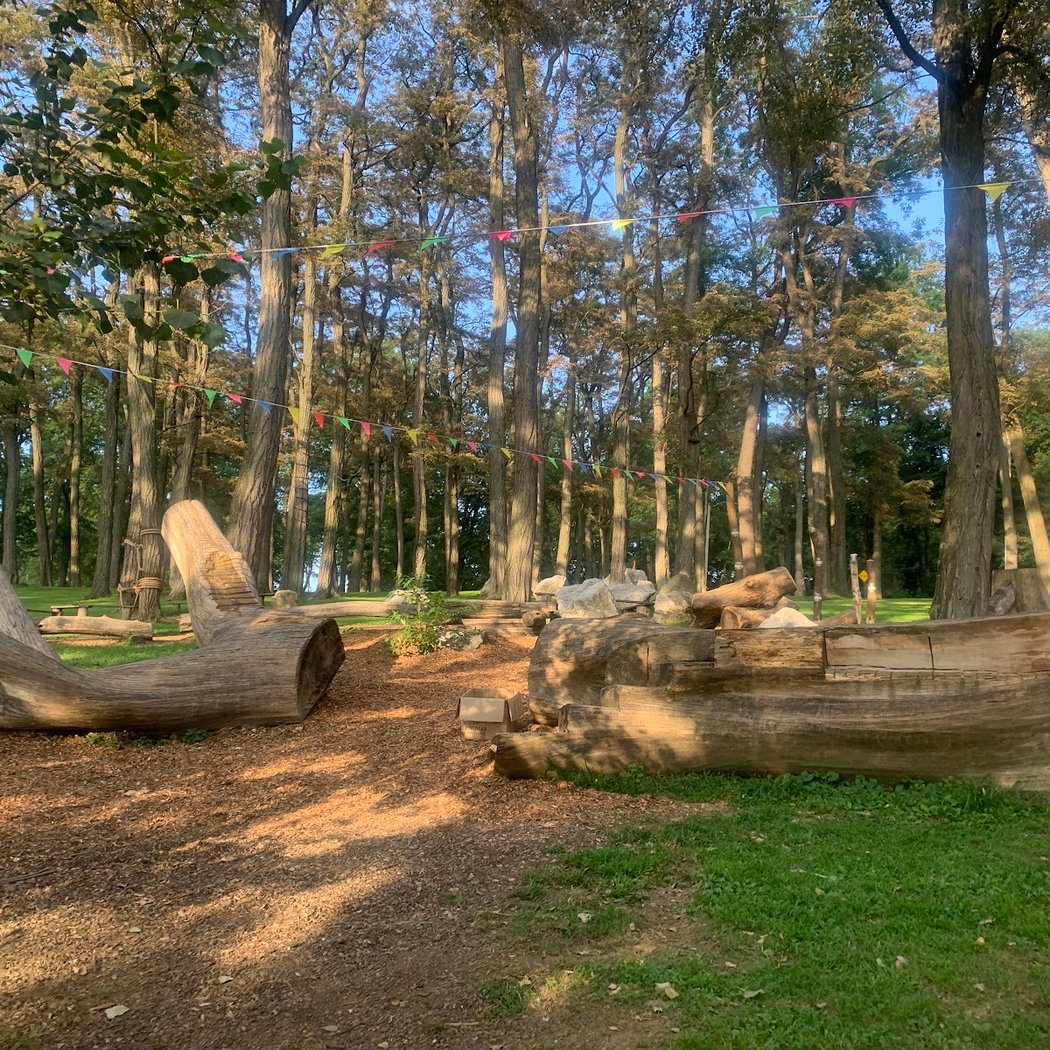 Wee Woods 1