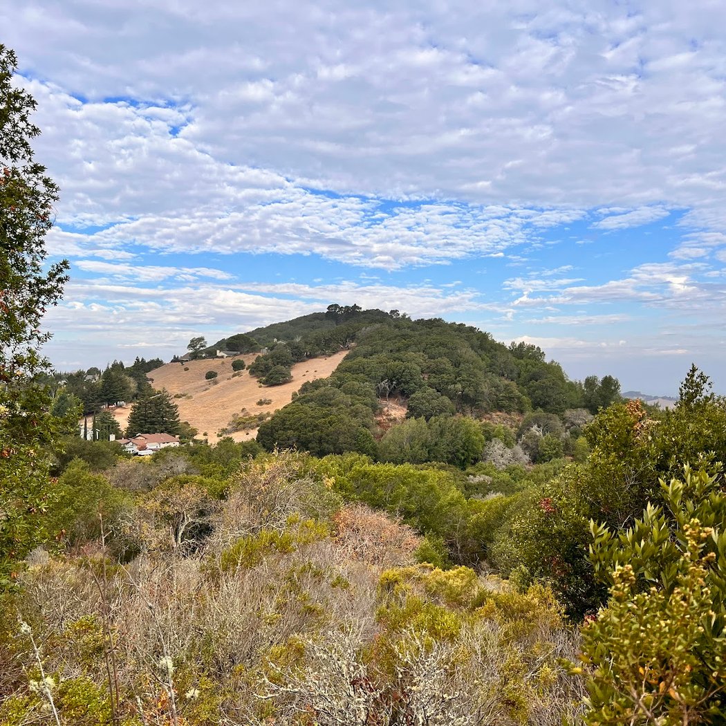 Pinole Valley Park 1