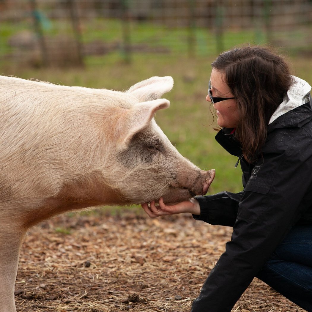 Friday Night Farm Visits 2