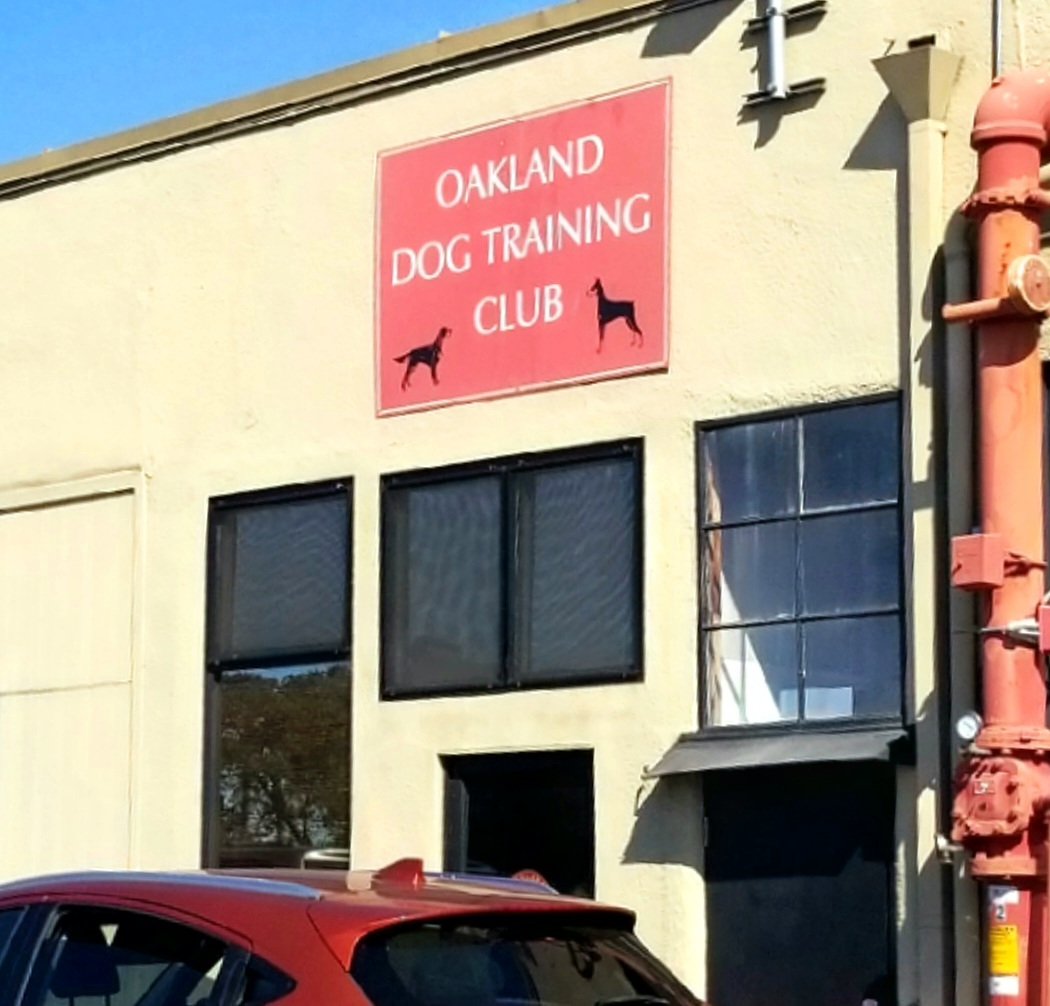 Oakland Dog Training Club 3
