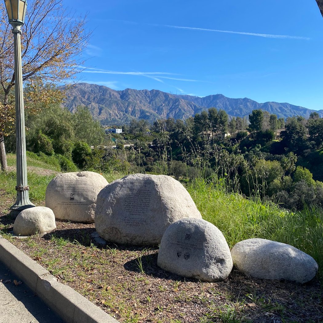 Cottonwood Canyon Habitat Restoration 2