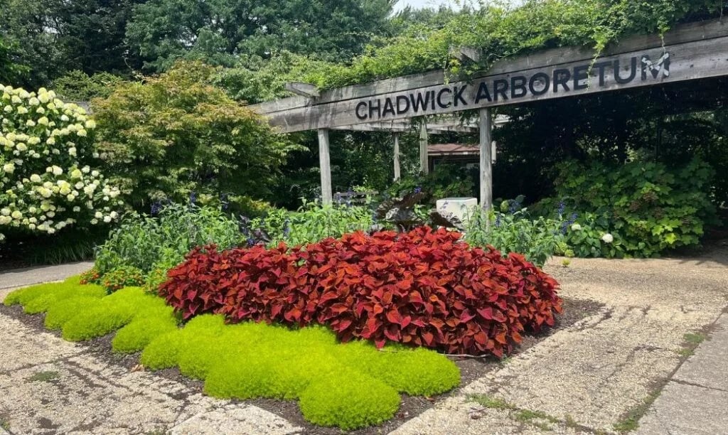 Chadwick Arboretum 1