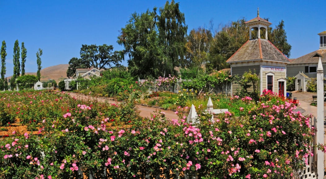 Garden Valley Ranch 2