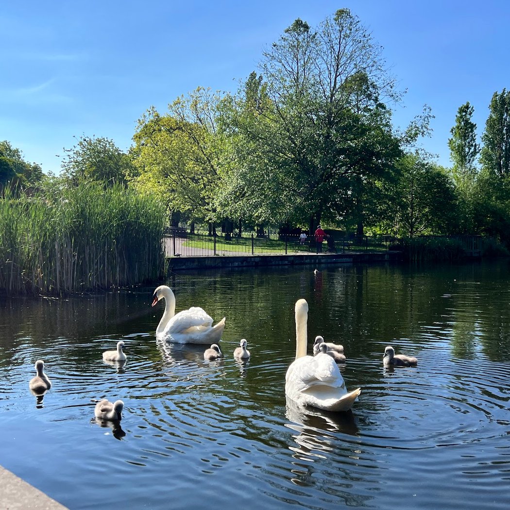 Brockwell Park 1