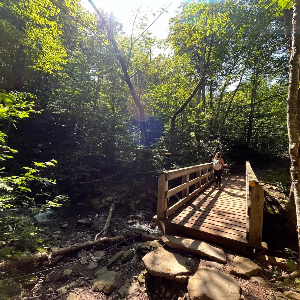 Giant Ledge Trailhead 4