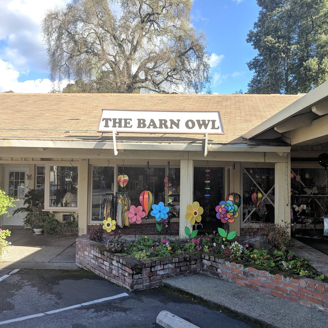 The Barn Owl 2