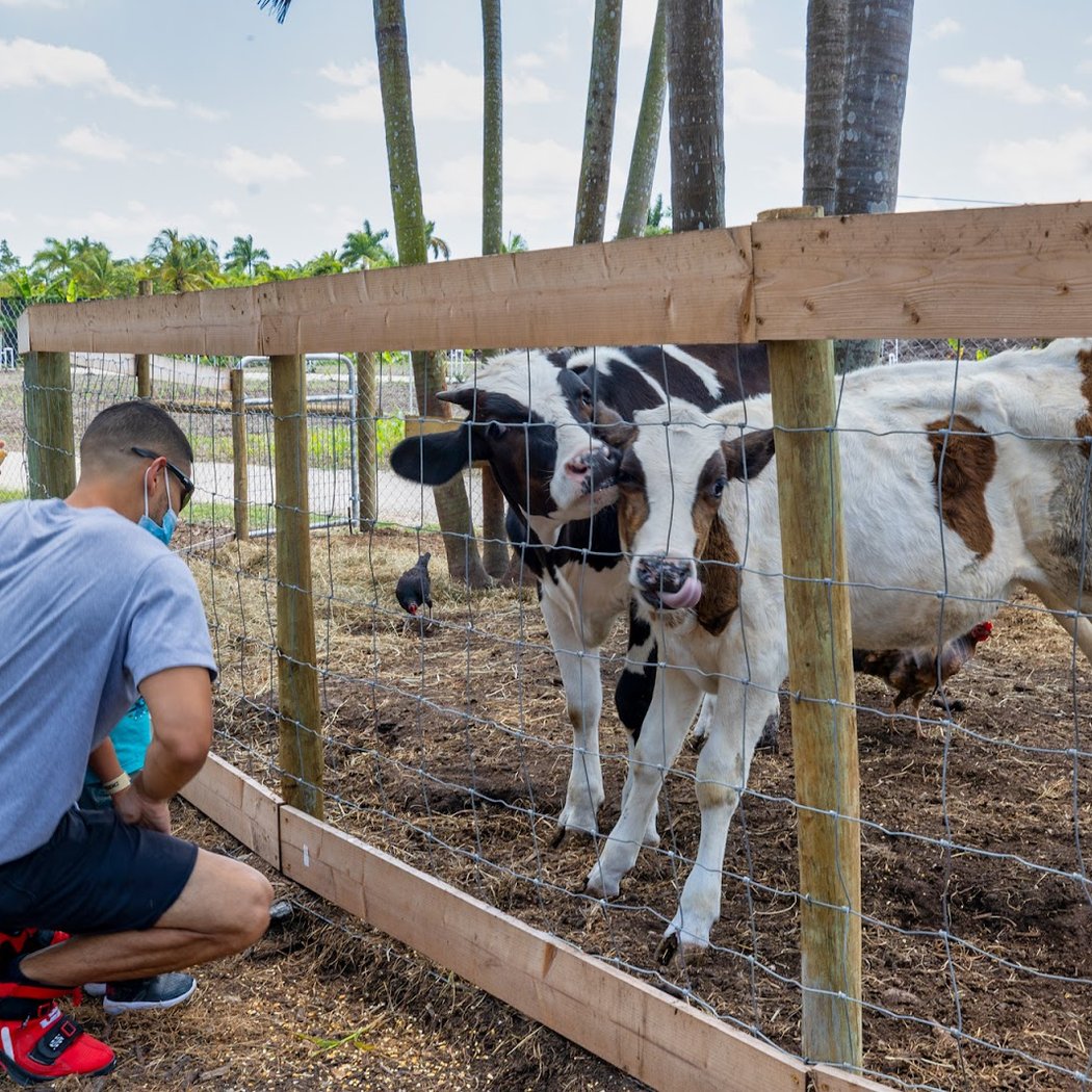 Tinez Farms 1