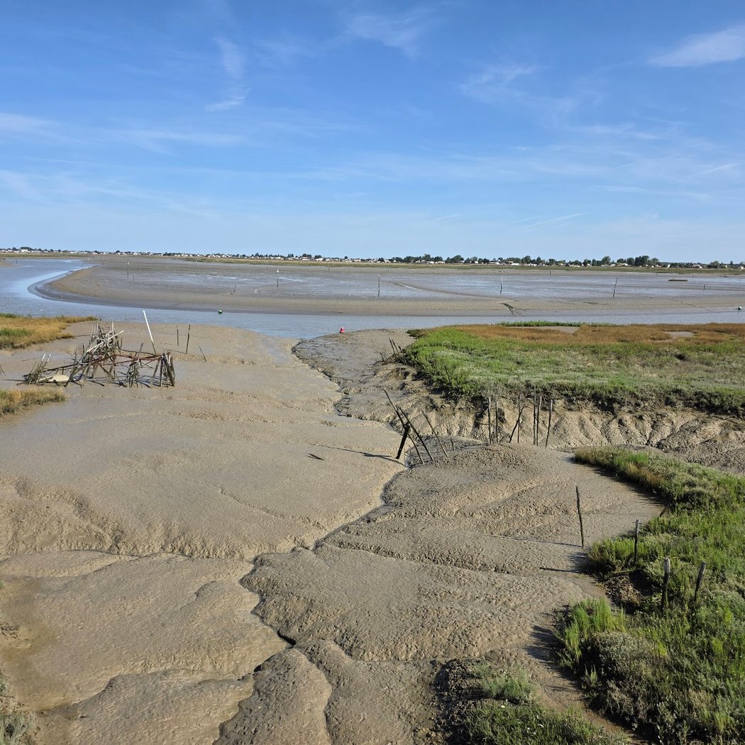 Réserve de la Pointe d'Arcay 2