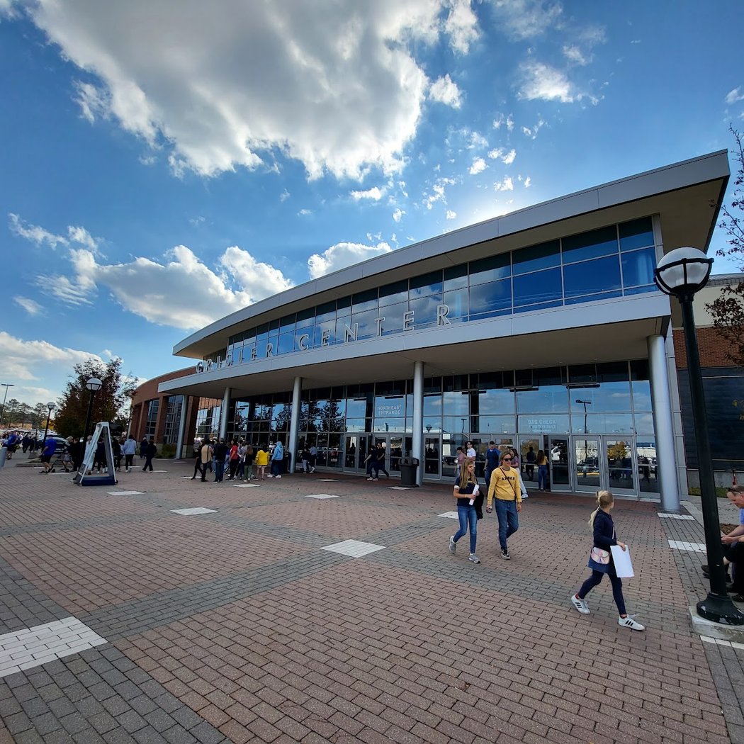 Michigan hockey or basketball game 4