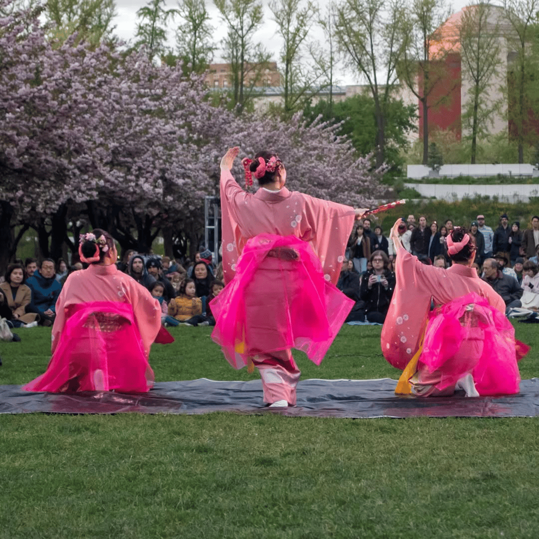 Hanami Nights 3