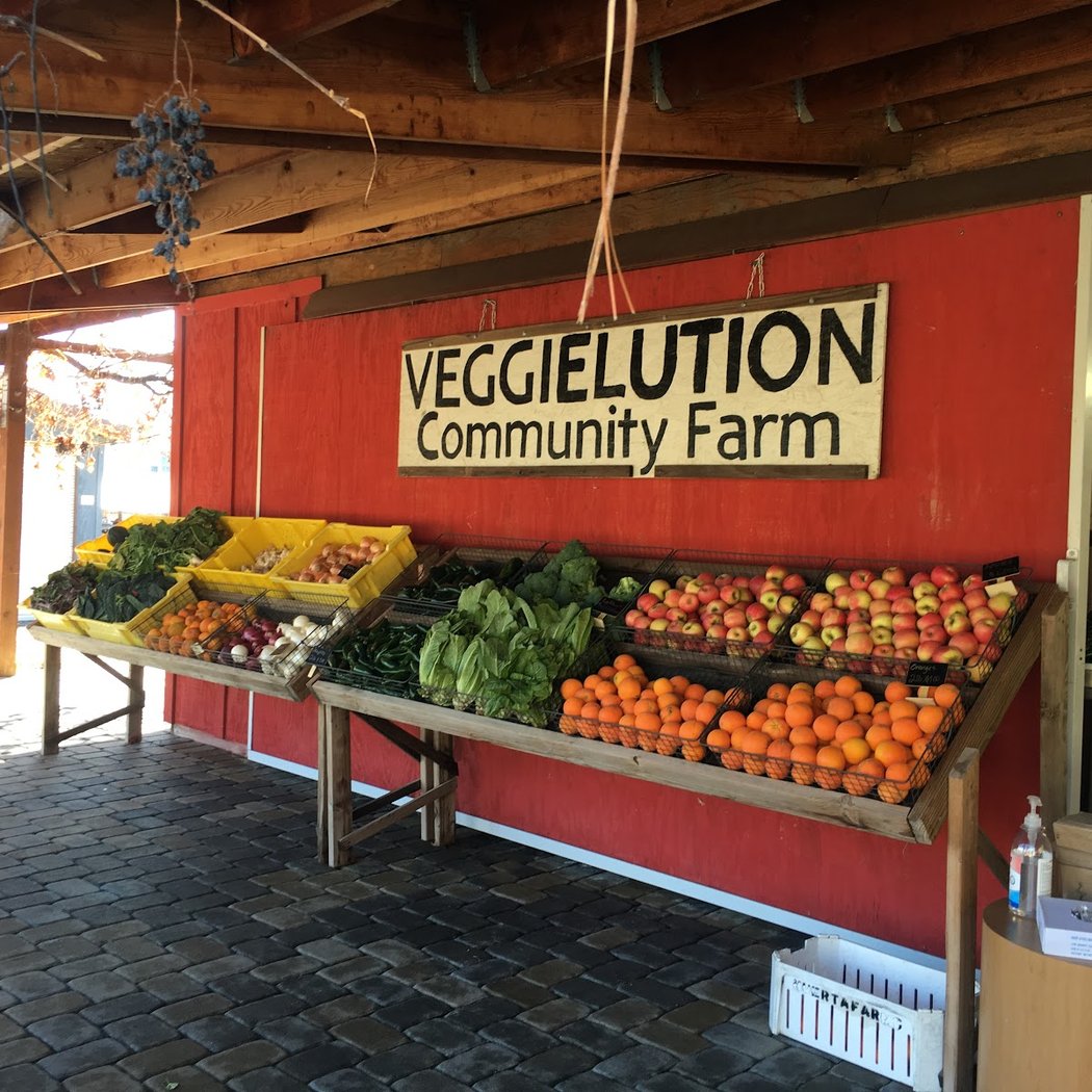 Veggielution Farmstand 3