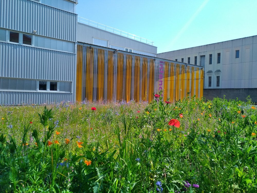 Intencity - Local Tips Pour Les Entreprises 2