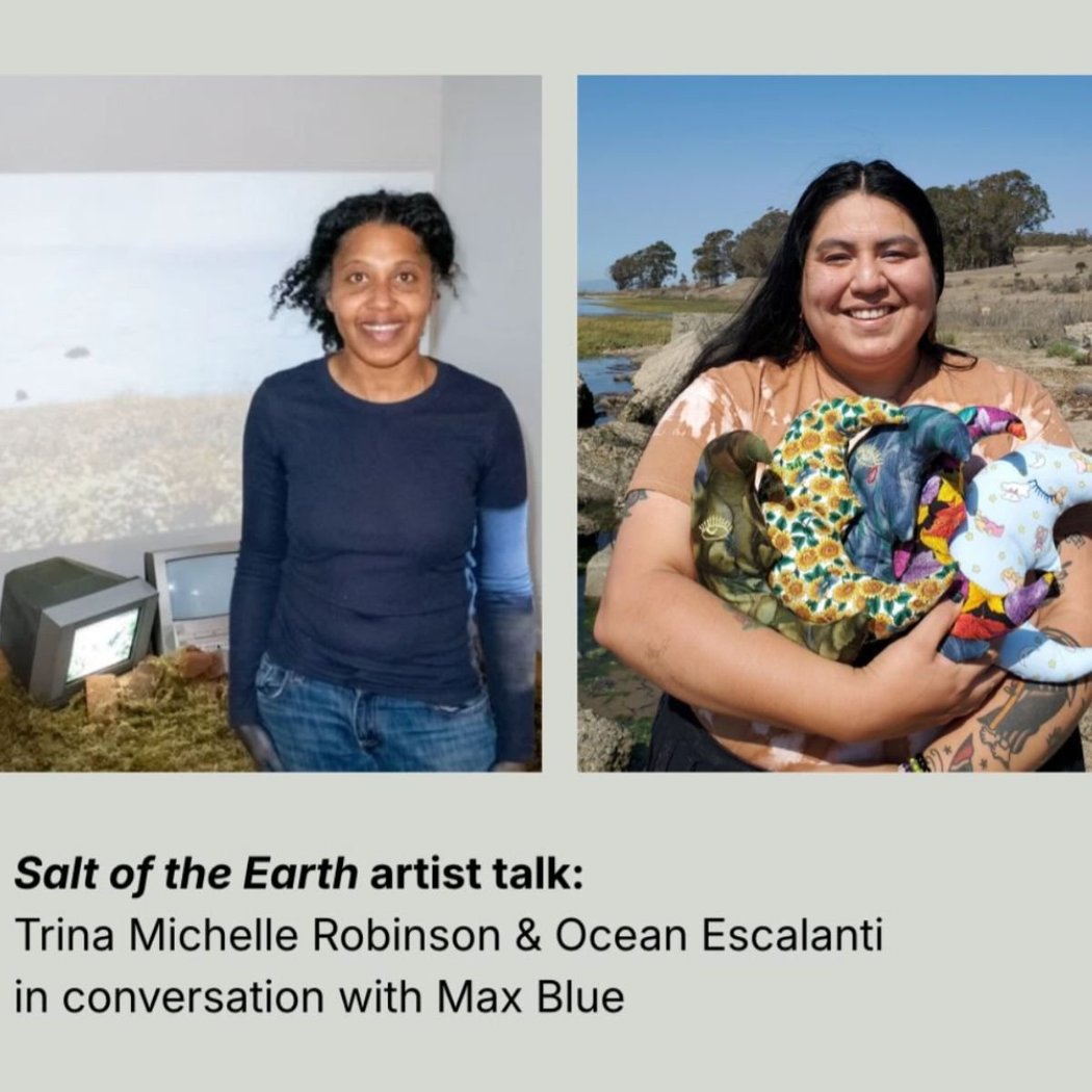 Salt of the Earth artist talk 2